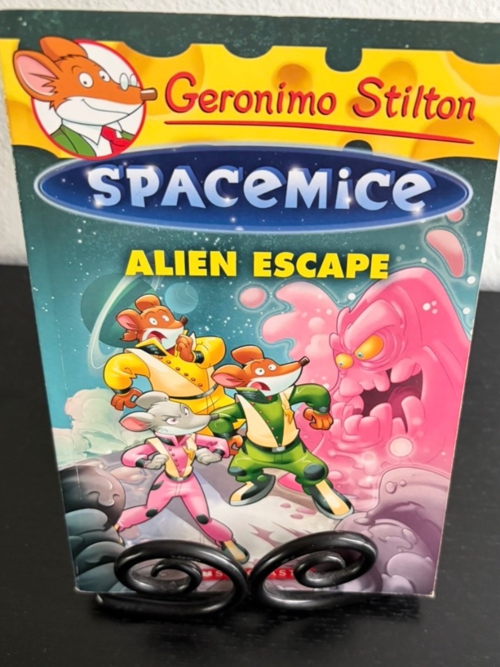 Geronimo Stilton Book